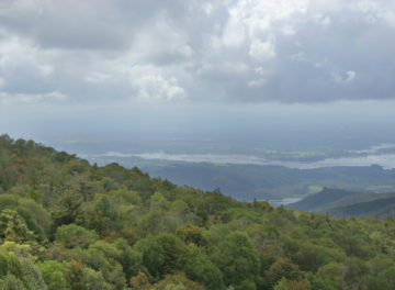 bosques-2